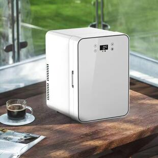 车载迷你小冰箱宿舍出租房小型母乳单人用冷藏箱车家两用