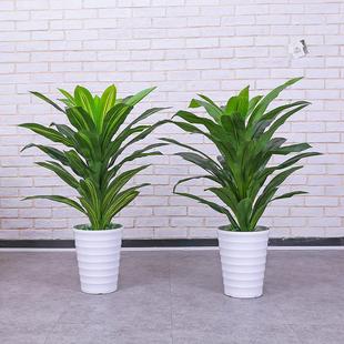 北欧仿真植物巴西铁盆景装饰大型仿真树居家客厅摆件落地植被盆栽