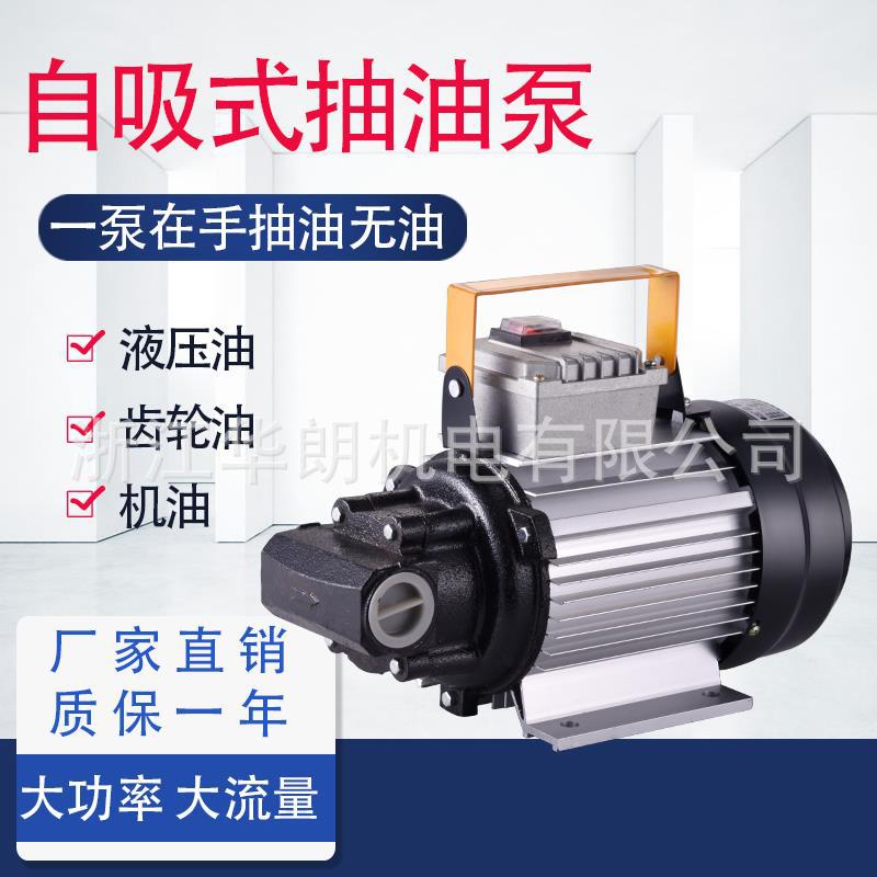 韩朗机油齿轮泵微型铝合金电动交流抽油泵厂家批发液压泵家用铜线
