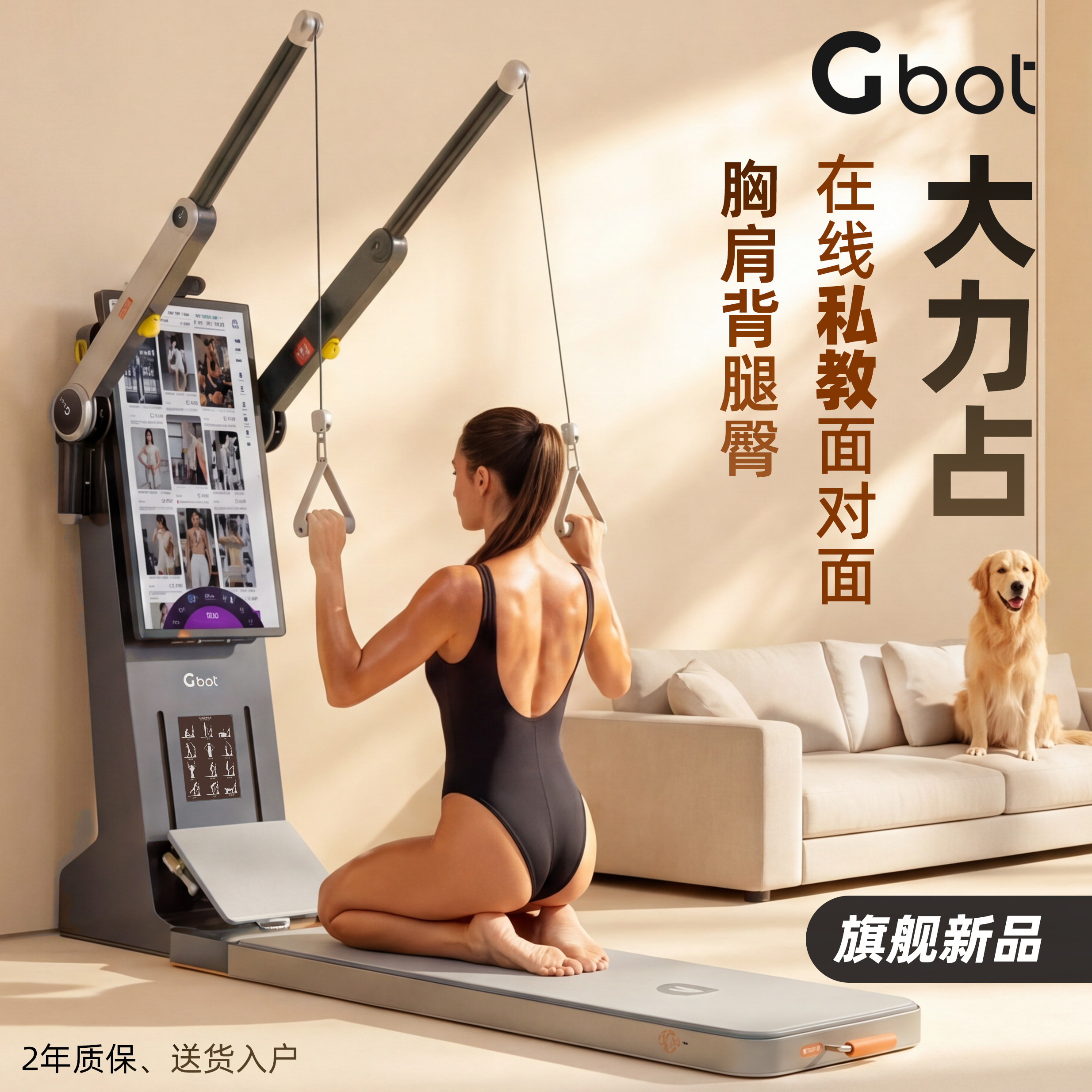 GBOT大力占家用综合训练器力量站小飞鸟龙门架史密斯划船机健身镜