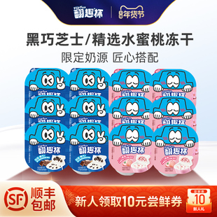 翻趣酸奶杯4.3g蛋白乳酸菌 水蜜桃冻干脆黑巧谷物低温酸奶8盒12盒