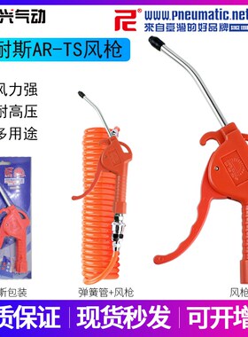 原装正品台湾山耐斯尼尔森气动吹尘枪风枪短咀短嘴吹风枪 AR-TS