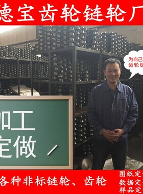 链轮定做双排链轮小链轮链条机械传动工业大链轮齿轮单排链轮加工