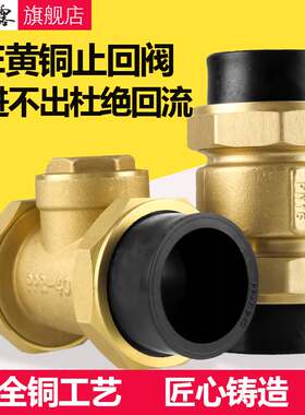PE给水管止回阀铜卧立式双活接单向阀自来水管逆止阀4/6分DN20/25