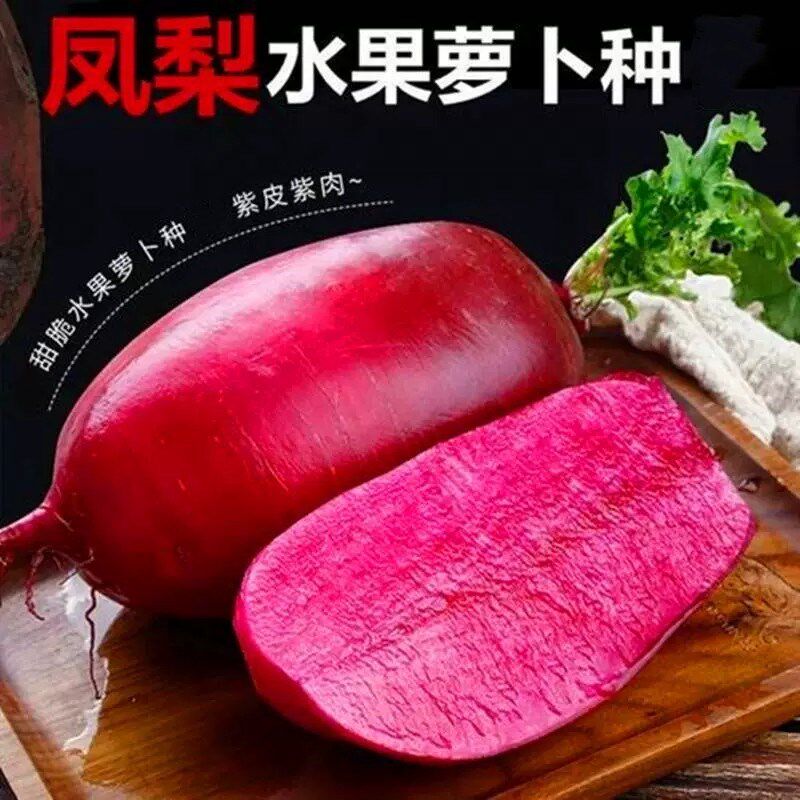 凤梨红心水果萝卜种心里美萝卜种家用满堂红春秋夏季四季播蔬菜