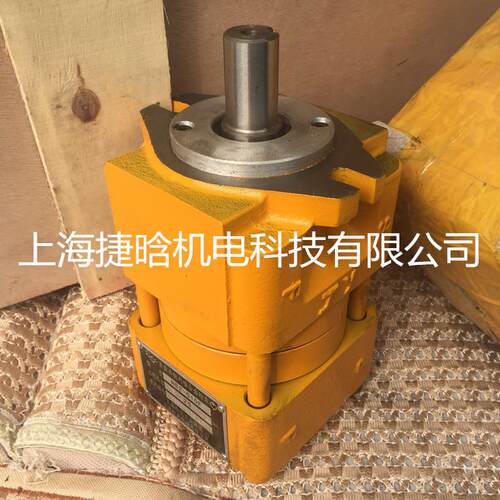 上海液压泵 NB2-G10F 铸铁 直齿共轭内啮合齿轮泵