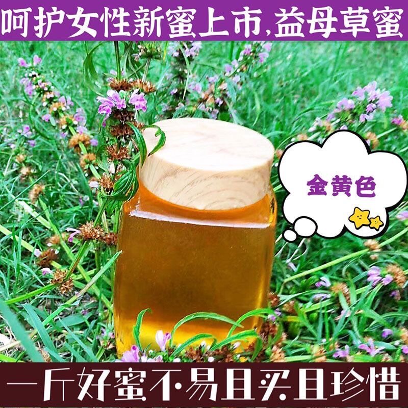 蜂蜜纯正天然野生土蜂蜜农家自产益母草蜜正品成熟结晶蜜促销包邮