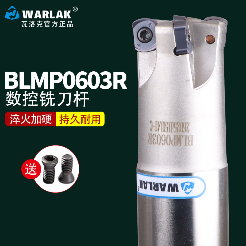 快进给双面铣刀杆BLMP0603R/TEBL06特固克 BLMP0603R刀片开粗铣面 - 实物图