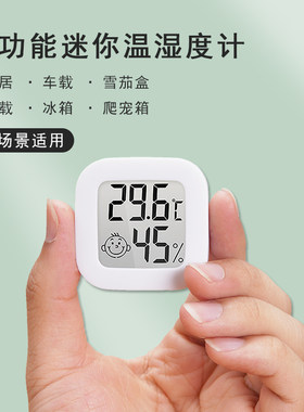 温度计室内家用高精度冰箱车载婴儿房温湿度计爬虫宠物箱温湿度表