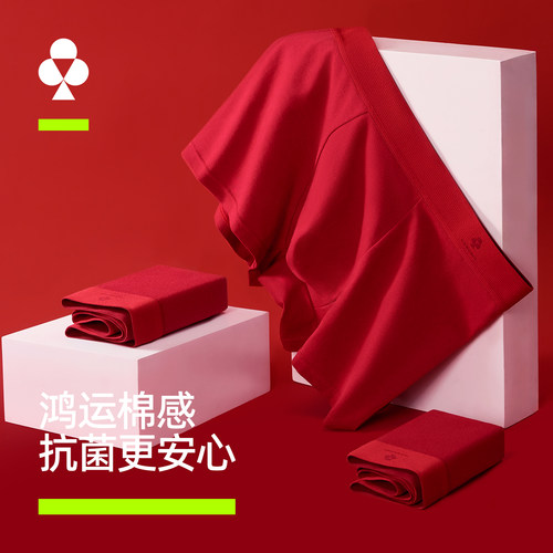 有棵树本命年大红抗菌男平角裤