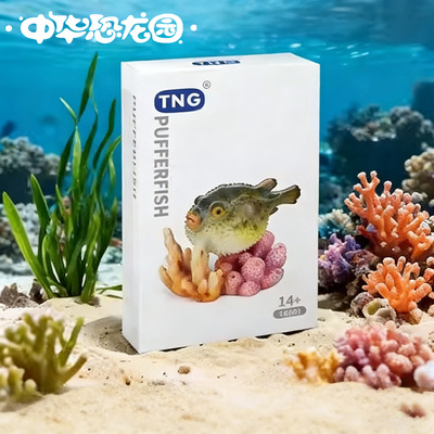 中华恐龙园*TNG联名海洋动物模型