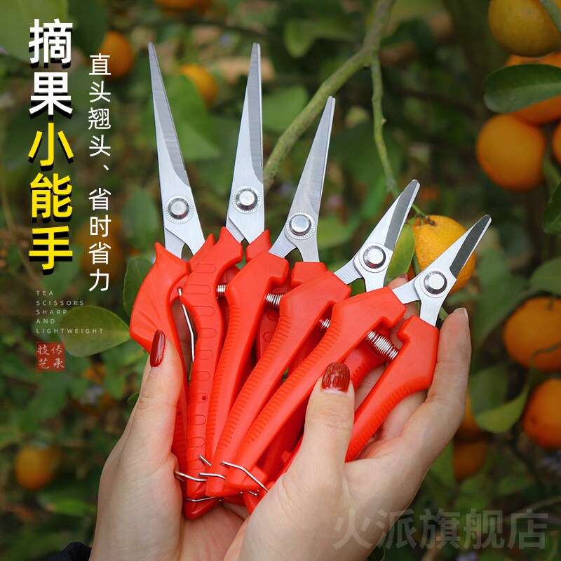 摘果剪采摘花椒剪子修花枝摘果神器修剪葡萄水果专用蔬果剪刀工具