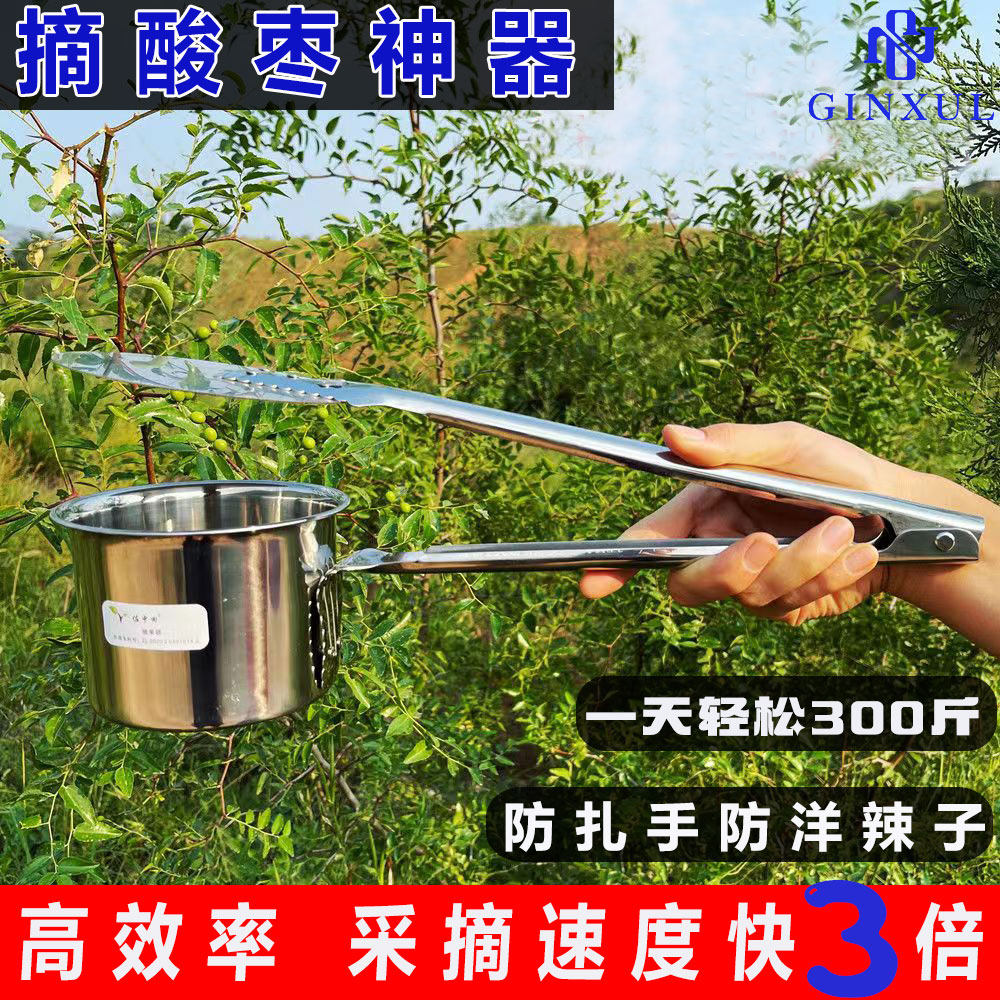 新型加长不锈钢摘酸枣神器摘果器采果野果摘山枣采摘蓝莓摘柏灵果