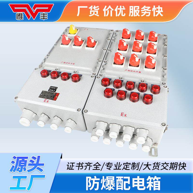 防爆配电箱检修接线箱动力仪表正压柜按钮控制开关端子盒插座箱厂