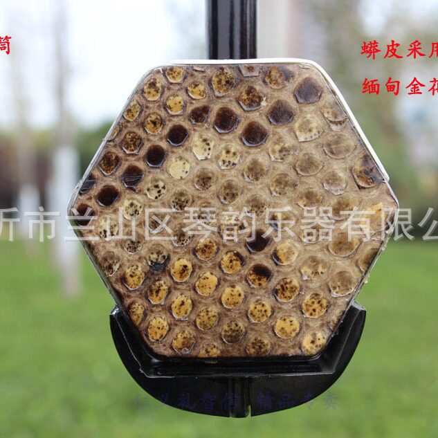 色木白木二胡初学用胡销售厂家直销零售