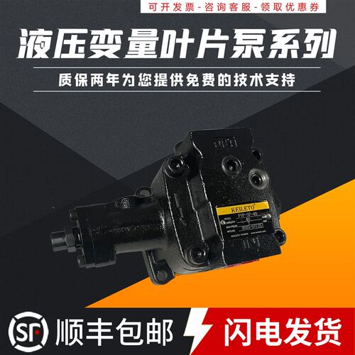 FVP-SF-40 DVP-30-70机 床专用变量叶片泵 DVP-20-70 35 55 20 40