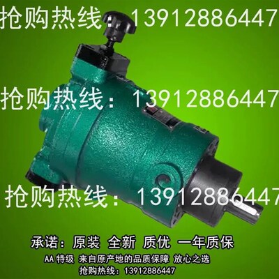 10SCY  40SCY 25SCY 80SCY 63SCY 100SCY 160SCY14-1B轴向 柱塞泵