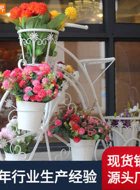 创意自行车铁艺花架阳台花架子绿萝花盆架家居园艺户外园林爬藤架
