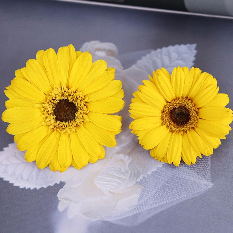 永生花非洲菊扶郎花迷你太阳花向日葵教师节母亲节妇女节DIY材料