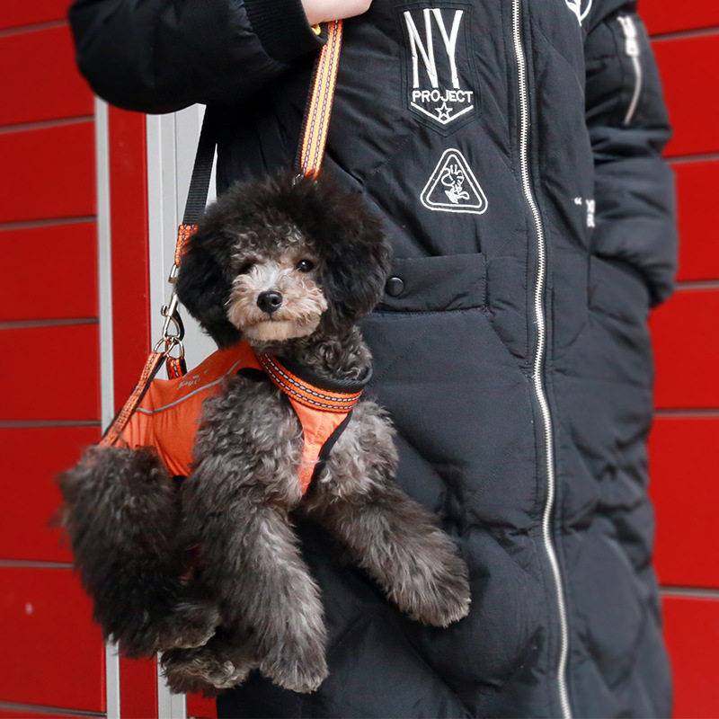 美灿狗狗助力包 泰迪比熊贵宾携带包狗狗牵引绳 老年残疾犬狗背包