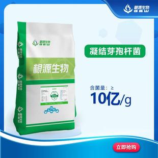源头厂家 凝结芽孢杆菌 养殖动物饲料添加剂