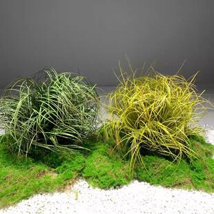 蒲草球仿真植物造景摆件店铺装饰假草堆景观芦苇草灌木草绿植园景