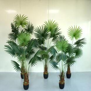 北欧风唐棕葵仿真蒲葵棕榈假植物室内客厅落地造景装饰盆栽摆件