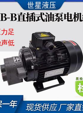 液压油泵电机组CB-B100.55KW液压泵总成内轴电机液压站配件系统