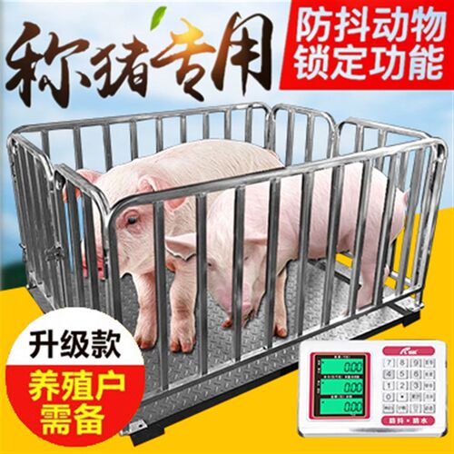无线地磅秤称猪称牛电子秤带围栏专用磅秤1T3t2吨5吨电子地磅小型