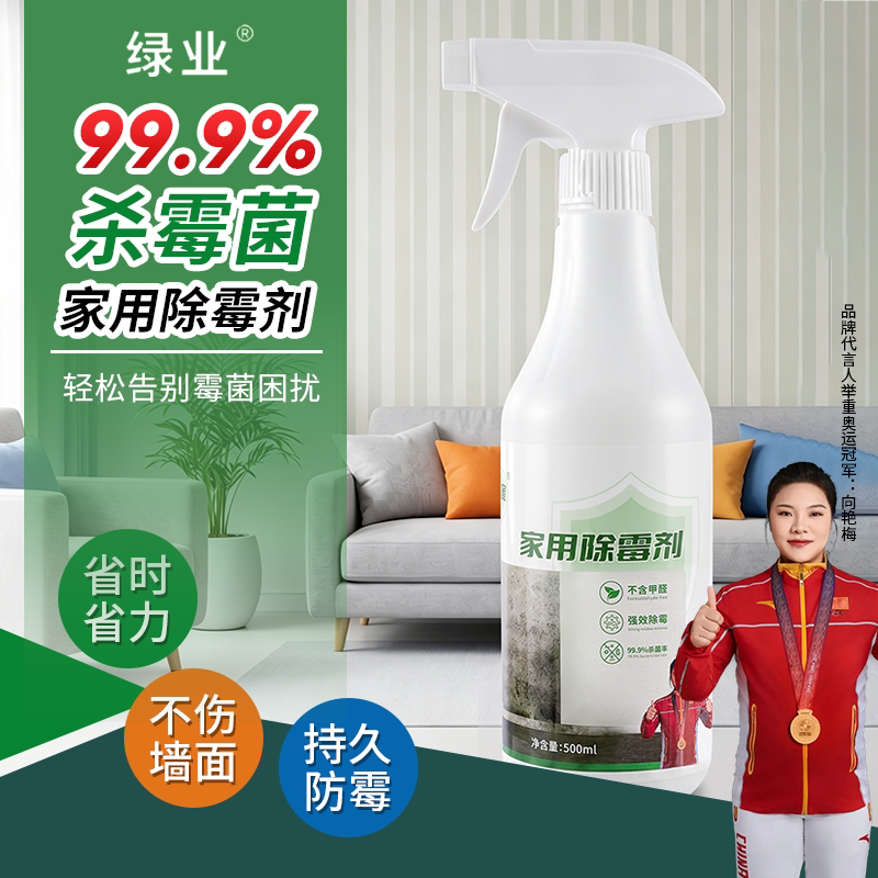 家用全效除霉剂高效除霉