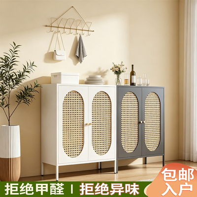 黑色钢制家用入户门藤编门鞋柜