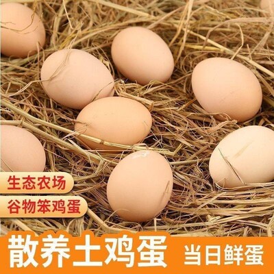 【团长专享】九华山土鸡蛋单个40克-50克/60枚/箱