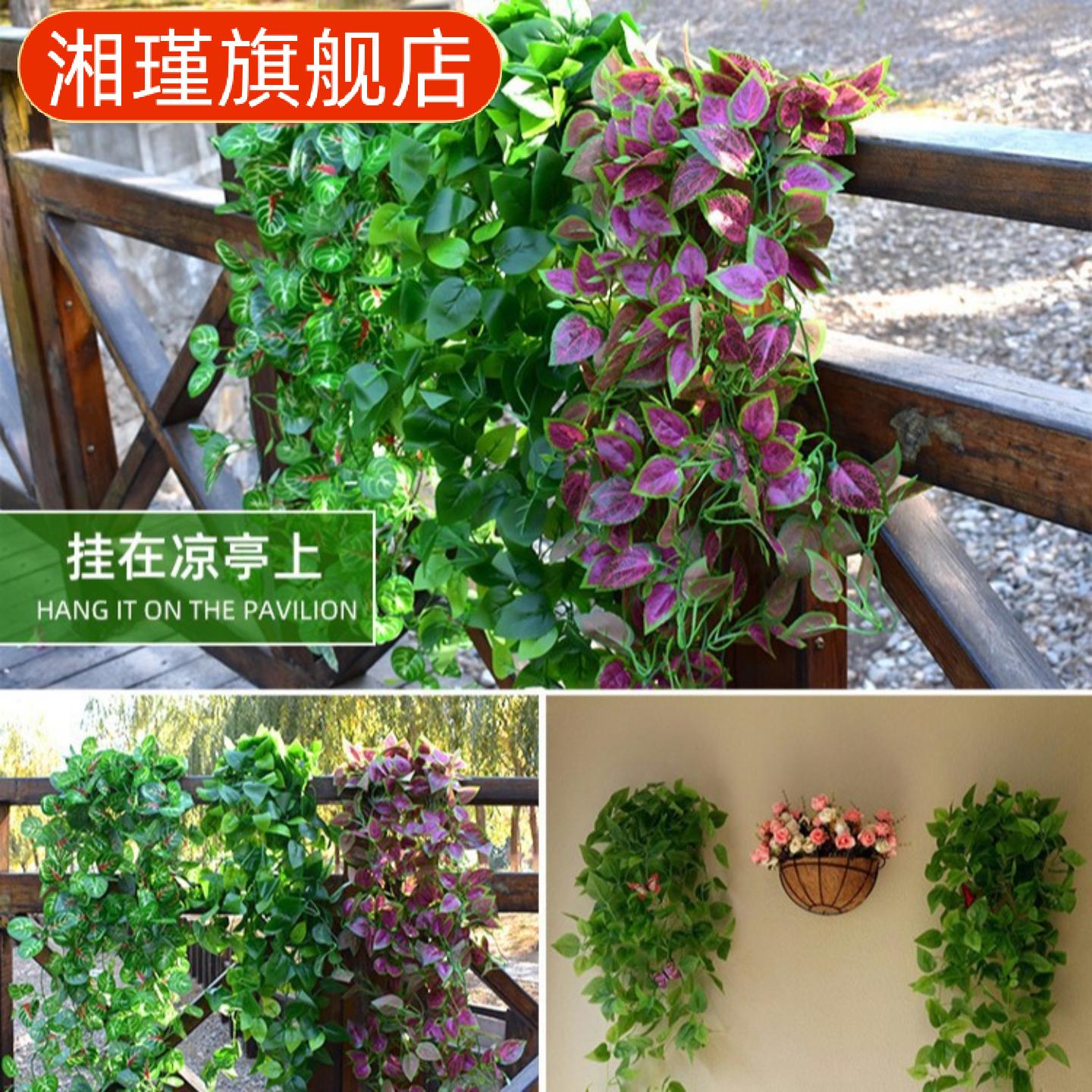 仿真绿萝壁挂植物室内装饰绿藤花