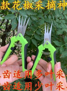 摘花椒神器专用剪刀花椒采摘机农用剪刀家用神器采摘工具花椒剪