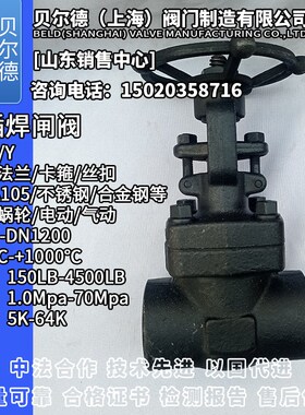 锻钢承插焊闸阀Z61Y碳钢A105N 20# 16Mn LF2 F11 F22 F91 T91 F5