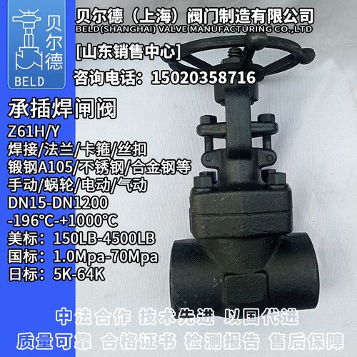 锻钢承插焊闸阀Z61Y碳钢A105N 20# 16Mn LF2 F11 F22 F91 T91 F5