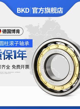 德国BKD圆柱滚子进口轴承N1038 N1040 N1011 N1048 N1052EM P4 P5