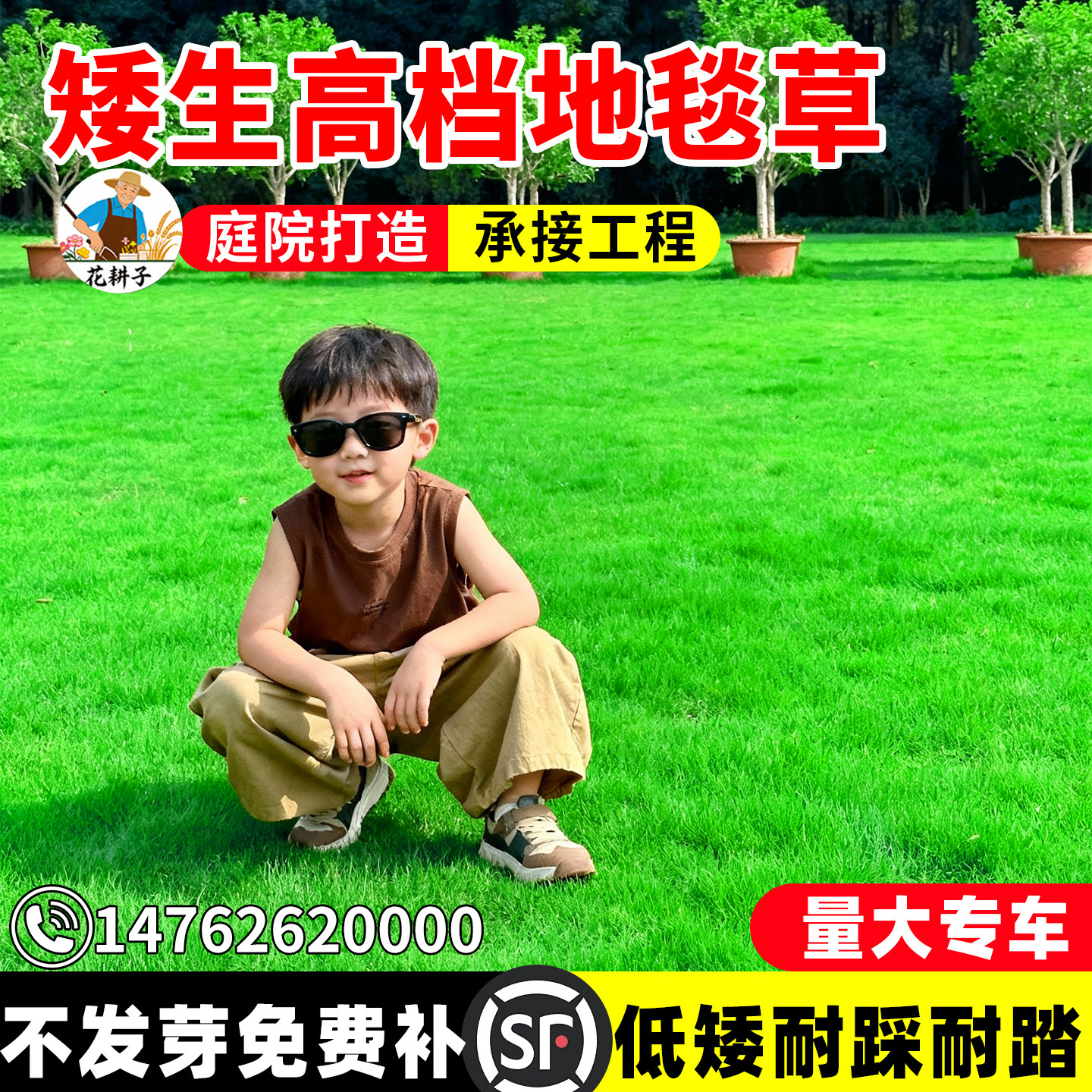 草坪草籽地毯草四季常青草皮草籽种矮生绿化草坪种子高档庭院草种