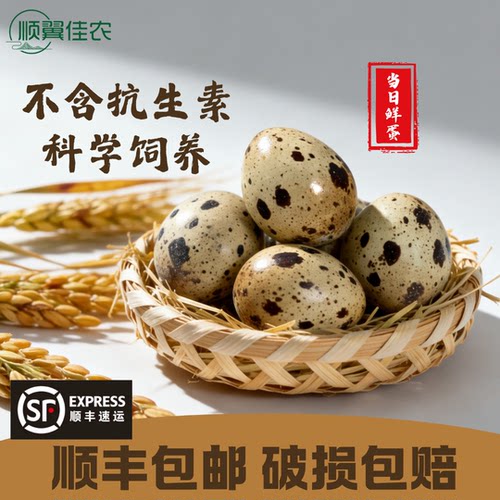 鲜鹌鹑蛋100枚不含抗生素高硒