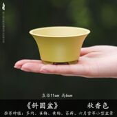 多肉花盆掌中宝菖蒲盆植物小桩微型盆栽盆景圆形加厚树脂花盆