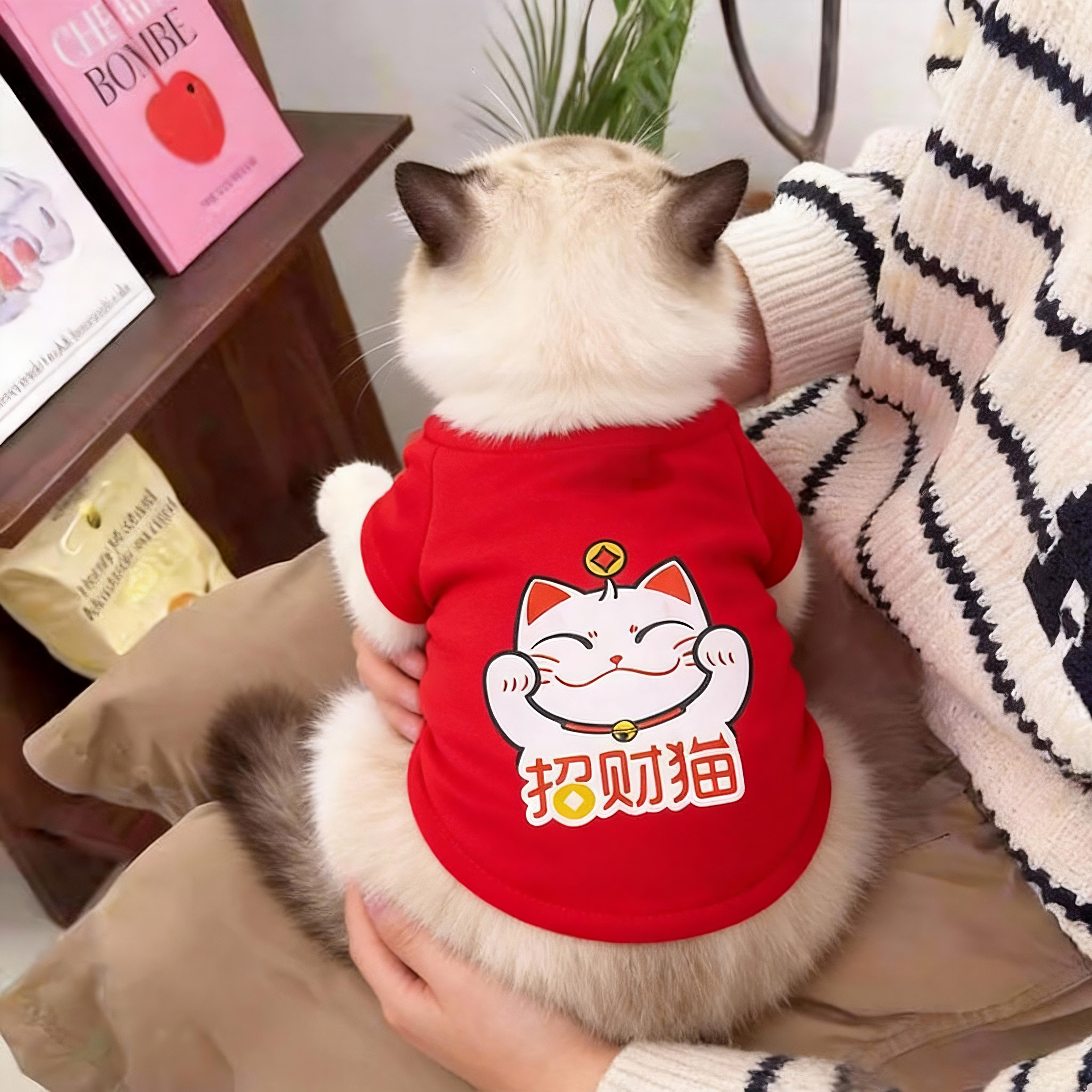 招财猫新年猫咪卫衣春秋保暖卡通