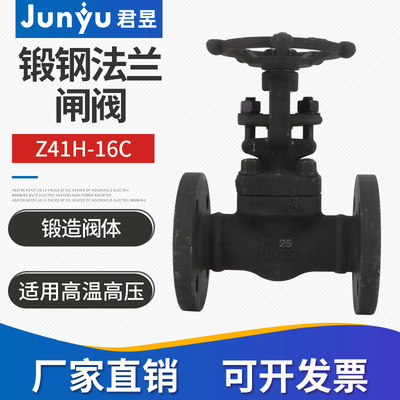 Z41H-16C/25C/40C A105锻钢锻打法兰闸阀DN15 20 25 32 40 50