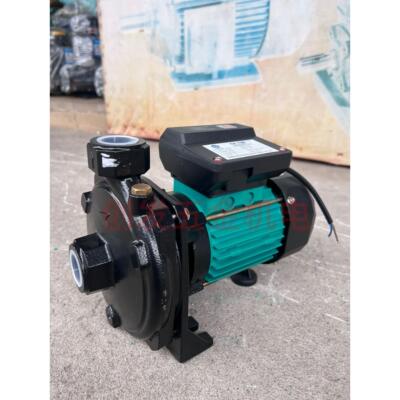 莞泉C温P-12CP-128 C8CP-158冷水水机离心水泵耐高循环泵泵家用清