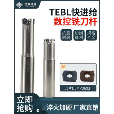 TEBL06快进给铣刀杆 BLMP0603双面四刃刀片 特固克通装刀杆/刀盘
