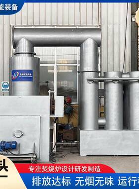 医院生活工厂垃圾焚烧炉养殖屠宰固液废弃物高温热解汽化焚烧设备
