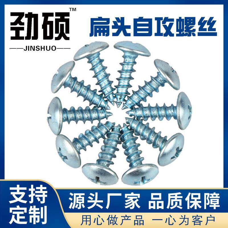 厂家直供 大扁头十字自攻螺丝钉 加硬自攻螺丝 蘑菇头自攻钉