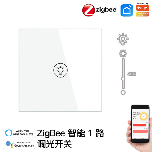 Zigbee2mqtt涂鸦智能家居1路调光开关app定时语音远程控制开关