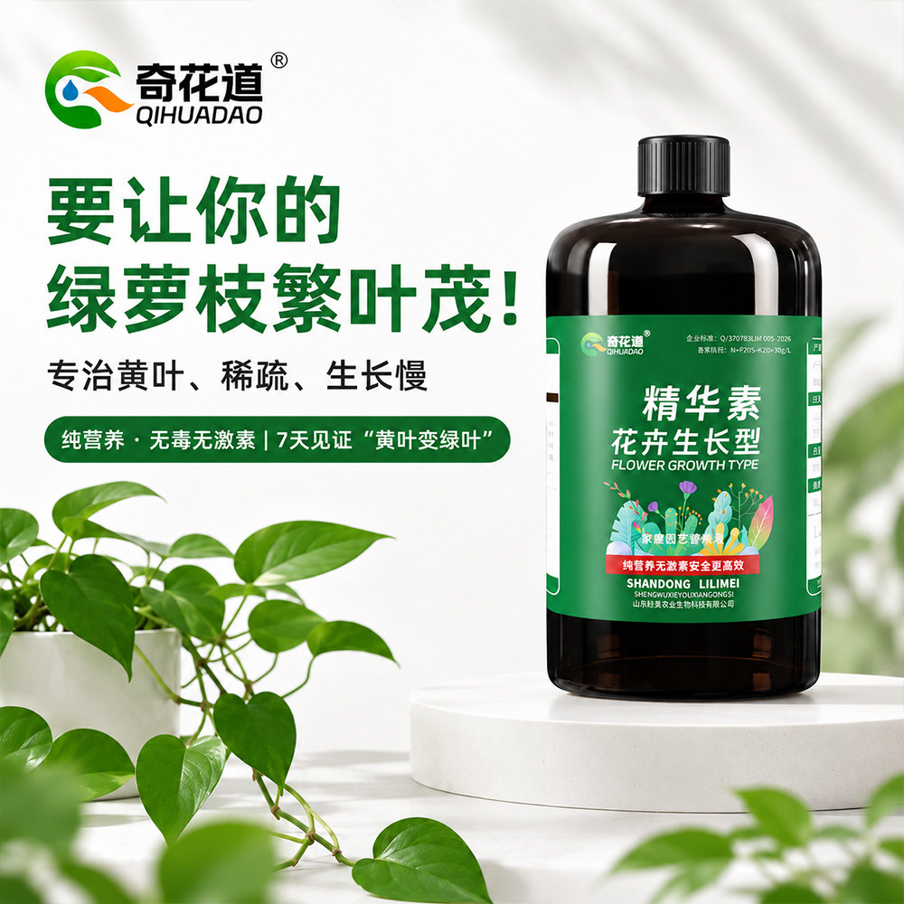 绿萝营养液绿叶生长素专用肥植物盆栽绿箩液花肥料家用土水培花用