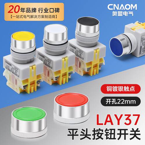 自复位按钮开关LAY37-11B