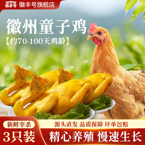 徽丰号徽州童子鸡白切鸡3只装